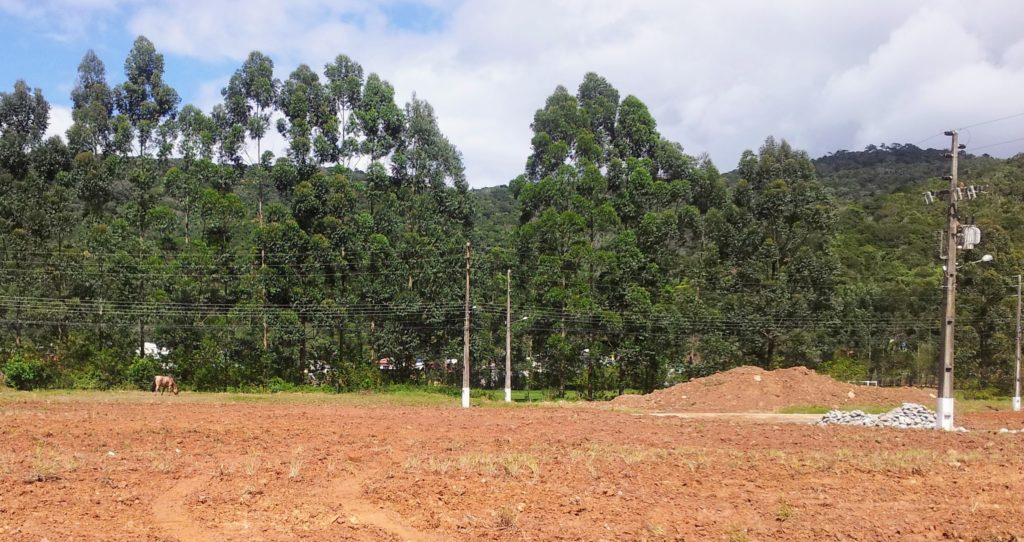 Foto ilustrativa de Terreno Urbano ao lado de áreas verdes